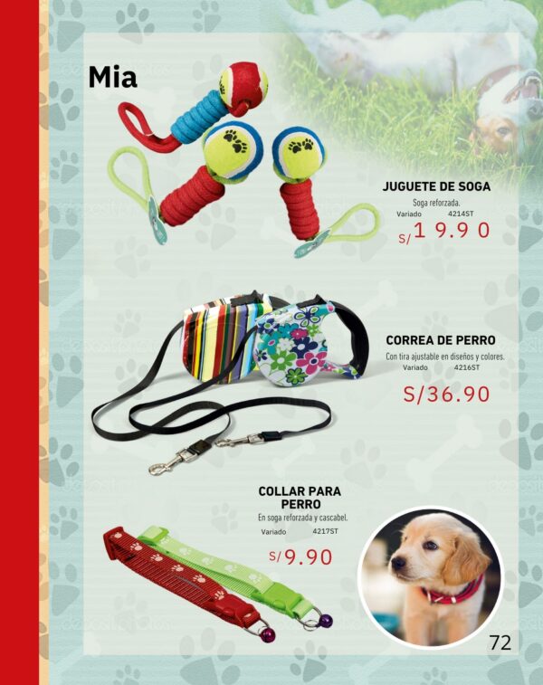 Collar para perro