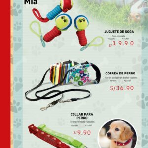 Correa de perro